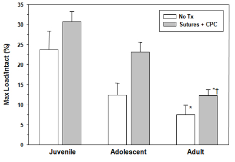 Validation Figure 5